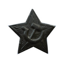 Звезда на головной убор СА, 23 мм, защитная (металл)