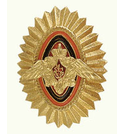 Кокарда ПВ офицерского состава, рифленая, золотая (металл)
