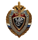 Значок Ящерица (серый щит ВВ)