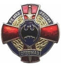 Значок Спецназ ВВ МВД, синий фон (латунь, холодная эмаль)