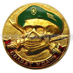 Значок Солдат удачи, череп в зеленом берете (латунь, холодная эмаль)