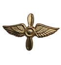 Эмблема петличная Авиация ВВС, золотая, металл (пара)