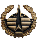 Эмблема петличная Космические войска, неуставная, золотая с эмалью, металл (пара)