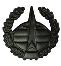Эмблема петличная Космические войска, неуставная, защитная, металл (пара)