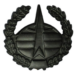 Эмблема петличная Космические войска, неуставная, защитная, металл (пара)