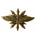 Эмблема петличная Войска связи, нового образца, золотая, металл (пара)