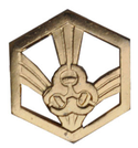 Эмблема петличная Войска РХБЗ, нового образца, золотая, металл (пара)