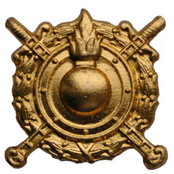 Эмблема петличная ВВ МВД, золотая, металл (пара)