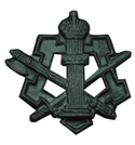 Эмблема петличная ФСИН, защитная, металл (пара)