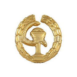 Эмблема петличная ФСО Медицинская служба, золотая, металл (1шт. Правая)