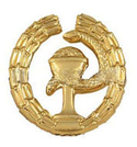 Эмблема петличная ФСО Медицинская служба, золотая, металл (1шт. Левая)