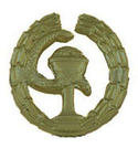 Эмблема петличная ФСО Медицинская служба, защитная, металл (1шт. Правая)