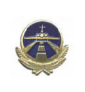 Эмблема петличная Гражданский воздушный флот (ГВФ), Наземная служба, металл (пара)