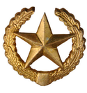 Эмблема петличная Сухопутные войска, старого образца, золотая, металл (пара)