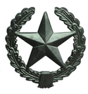 Эмблема петличная Сухопутные войска, старого образца, защитная, металл (пара)