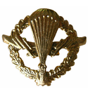 Эмблема петличная ВДВ, старого образца, золотая, металл (пара)