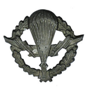 Эмблема петличная ВДВ, старого образца, защитная, металл (пара)