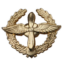 Эмблема петличная ВВС, старого образца, золотая, металл (пара)