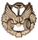 Эмблема петличная Автомобильные войска, старого образца, золотая, металл (пара)