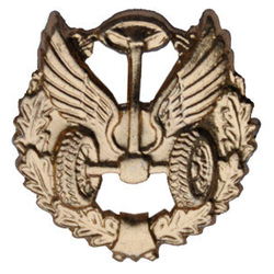 Эмблема петличная Автомобильные войска, старого образца, золотая, металл (пара)
