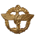 Эмблема петличная ВОСО, старого образца, золотая, металл (пара)