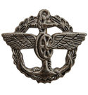 Эмблема петличная ВОСО, старого образца, защитная, металл (пара)