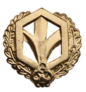 Эмблема петличная Войска РХБЗ, старого образца, золотая, металл (пара)