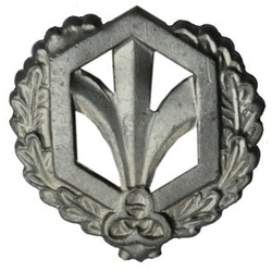 Эмблема петличная Войска РХБЗ, старого образца, защитная, металл (пара)