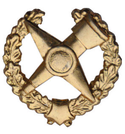 Эмблема петличная Топографическая служба, старого образца, золотая, металл (пара)