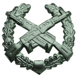 Эмблема петличная Мотострелковые войска, защитная, металл (пара)