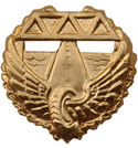 Эмблема петличная Дорожные войска, золотая, металл (пара)