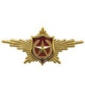 Нагрудный знак Символ РА, Сухопутные войска