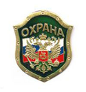 Нагрудный знак Охрана, орел на флаге РФ, на зеленом фоне