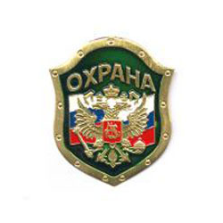 Нагрудный знак Охрана, орел на флаге РФ, на зеленом фоне