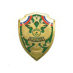 Нагрудный знак Охрана, орел на зеленом фоне