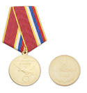 Медаль За достигнутые успехи, В честь юбилея (Наградной фонд)