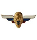 Значок Крылья ВДВ (флаг РФ)