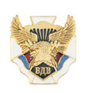 Значок ВДВ (орел на белом кресте, с флагом РФ)