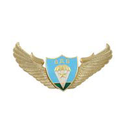 Значок ВДВ (крылья со щитом)
