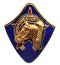 Значок  Всадник ОСОАВИАХИМ СССР (копия знака 30-х годов СССР), горячая эмаль