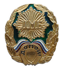 Значок ДМБ Домой!, с подковой (зеленый фон)