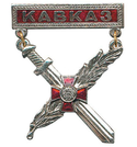 Знак-медаль Кавказ (с мечом и ветвью), красный фон