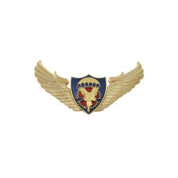 Значок Сова ГРУ,  с парашютом (крылья со щитом)