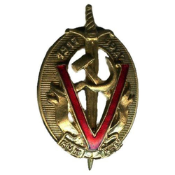 Значок V лет ВЧК-ГПУ, 1917-1922, 2 накладки (литье, полимерная эмаль)