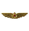 Значок Крылья ВМФ (со звездой)