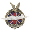 Значок Двухмоторный бомбардировщик, с птицей (серия Самолеты по британскому ленд-лизу), горячая эмаль