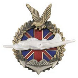 Значок Двухмоторный бомбардировщик, с птицей (серия Самолеты по британскому ленд-лизу), горячая эмаль