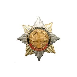 Значок Орден-звезда Космические войска (эмблема старого образца), с накладкой
