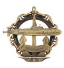 Значок Подводный флот России (подводная лодка на якоре, в цепи), Проект 971