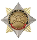 Значок Орден-звезда Сухопутные войска (эмблема нового образца), с накладкой